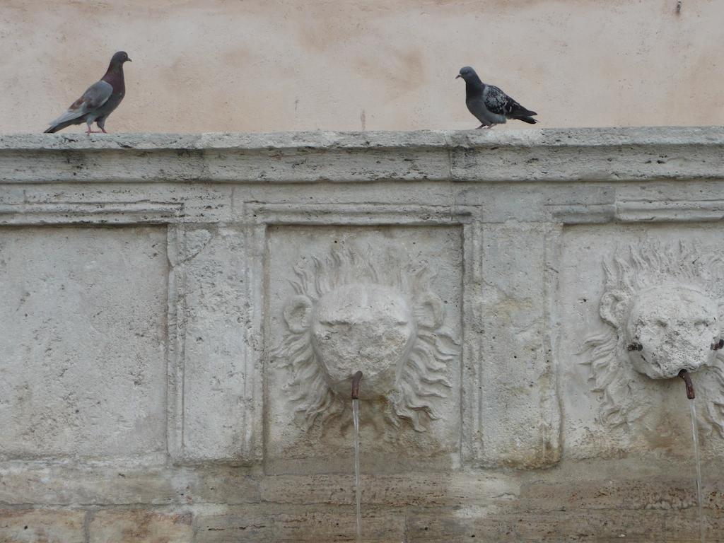 Villa Rosy Assisi Exteriér fotografie