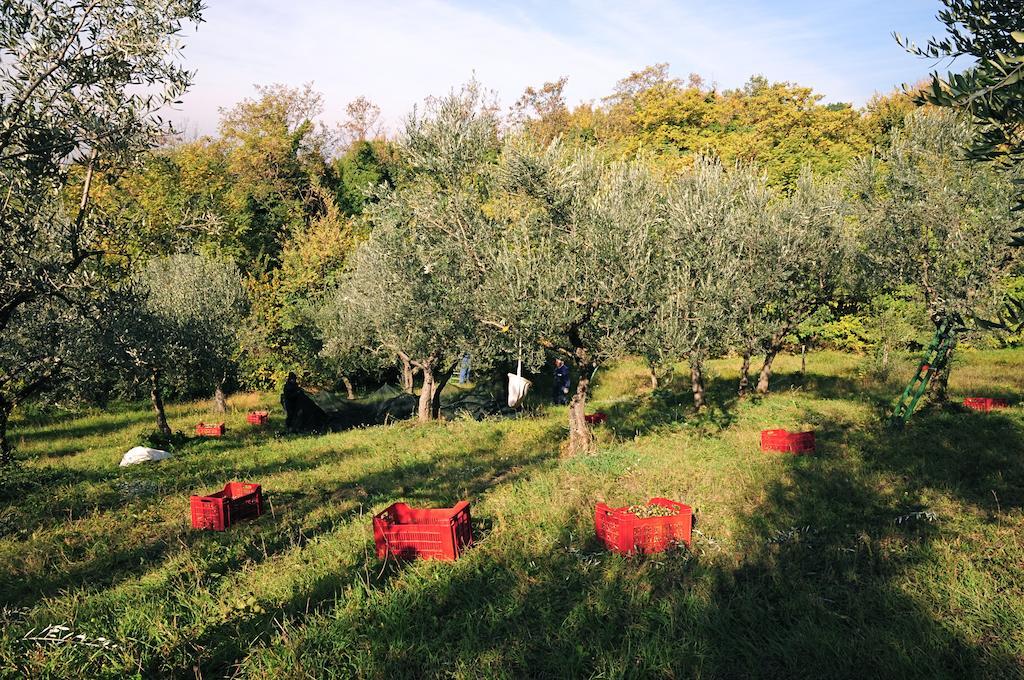 Villa Rosy Assisi Exteriér fotografie