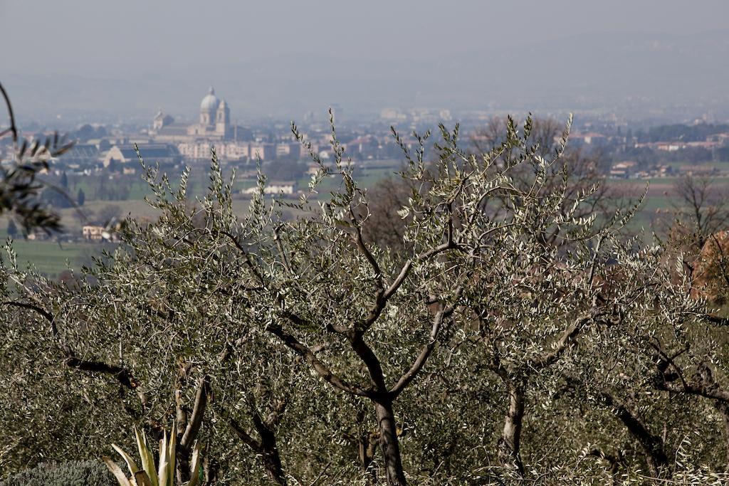 Villa Rosy Assisi Exteriér fotografie