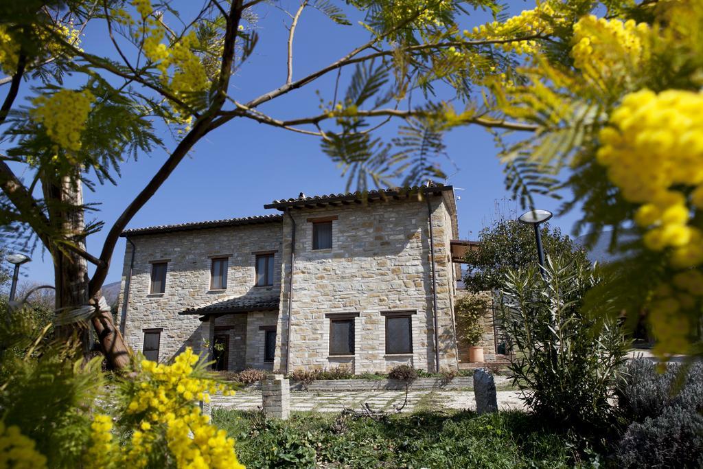 Villa Rosy Assisi Exteriér fotografie